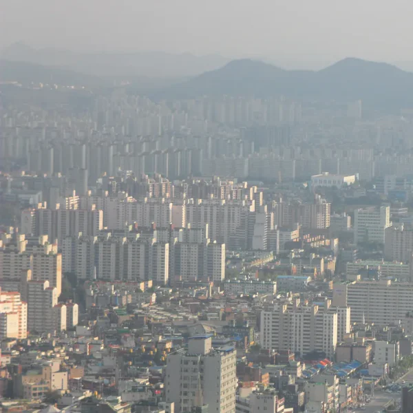 로열 해린스튜디오 테라피 대표 안내 이미지